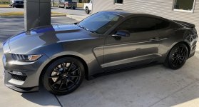 GT 350 Side.jpg