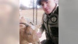 Gracie-the-goat-Henry-County-Sheriffs-Office-final.jpg